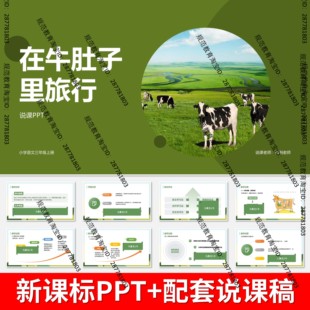 V33在牛肚子里旅行说课稿说课PPT课件语文说课大单元任务群新教材