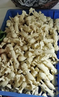 专业代工真空 翻模 复模 批量生产白模专拍