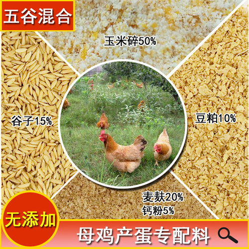 玉米碎大麦麸豆粕稻谷粮母鸡农家散养鸭鹅禽混合五谷产蛋专用饲料