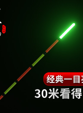 点亮醒目加粗两用夜钓灵敏电子漂