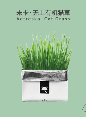 网红未卡vetreska无土栽培猫草水培种子猫咪零食去毛球助消化包邮