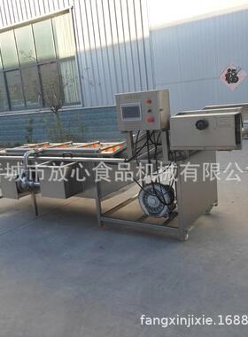 水果动清洗机 喷淋气泡清洗机 自蔬IJV全清菜洗机 洗菜净菜设备