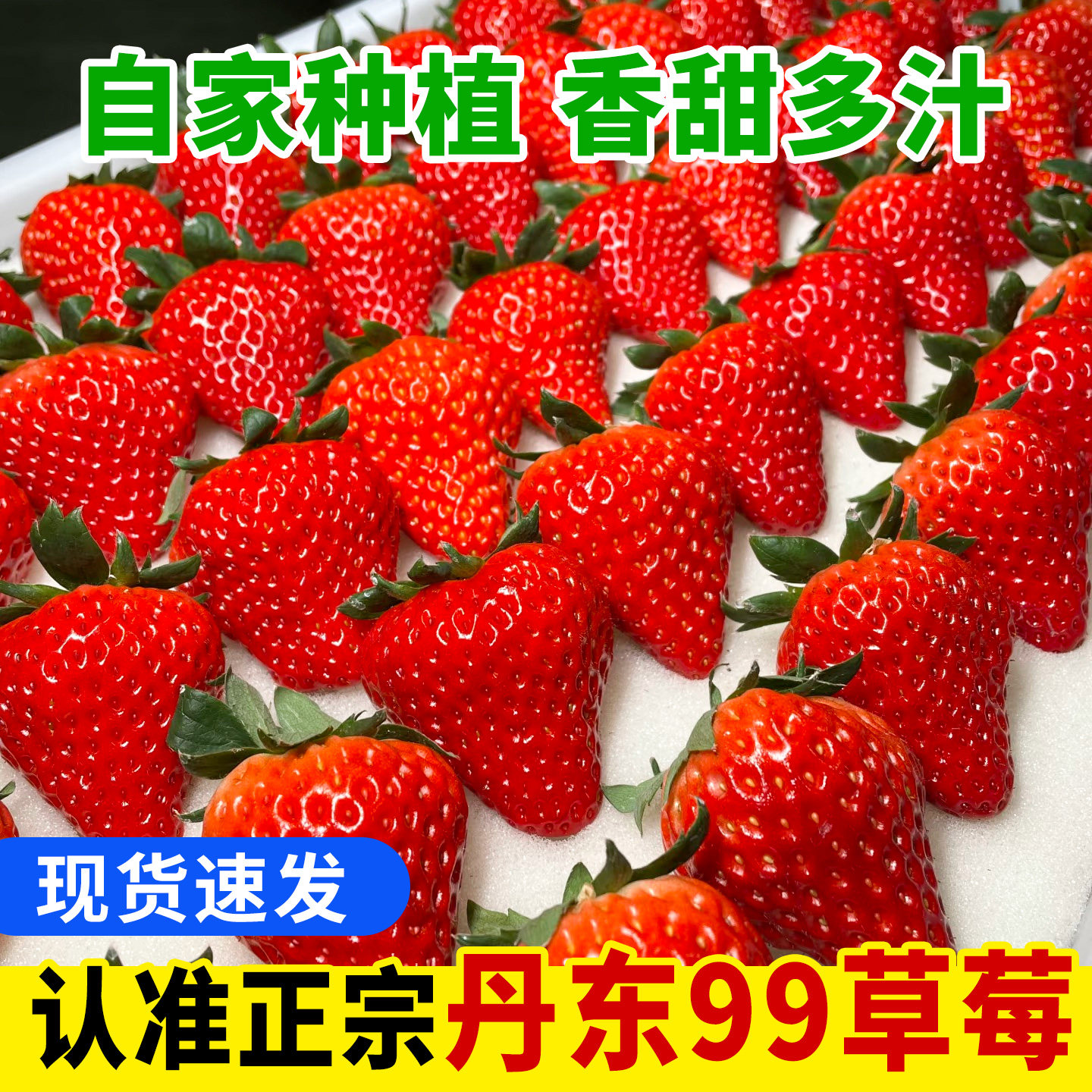 现货丹东99草莓香野当季水果红颜奶油空运孕妇礼盒装东港大果牛奶,水产肉类/新鲜蔬果/熟食,草莓,淘宝优惠券,粉丝福利购,淘宝优惠卷