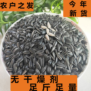 油葵生瓜子黑珍珠小瓜子优质新货现炒熟原味奶油薄盐小颗粒葵花籽