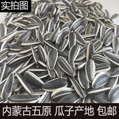 生瓜子新货原味现炒熟葵花大颗粒散装 新鲜毛磕零食10斤向日葵瓜籽