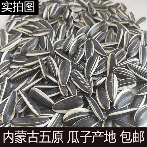 原味熟大颗粒零食生瓜子新货新货