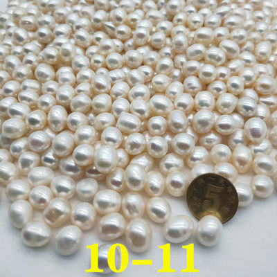 供曼扎盘七宝石珍珠修曼扎供佛曼荼装藏称斤无孔白色10-11mm半斤