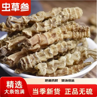 虫草参中药材地参500克干货大条新货地蚕草石蚕地笋泡酒煲汤料