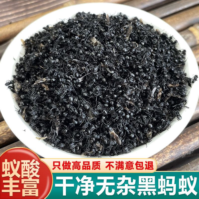 黑蚂蚁中药材正品横县黑蚂蚁干500g克拟黑多刺蚁泡酒料可磨粉