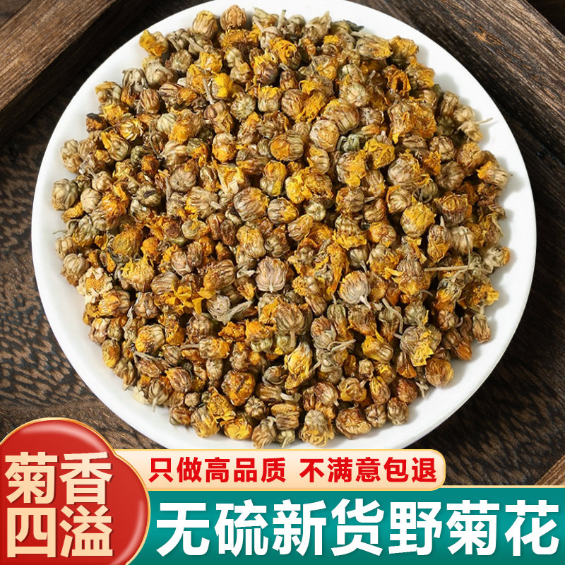野菊花茶新货包邮500克泡水
