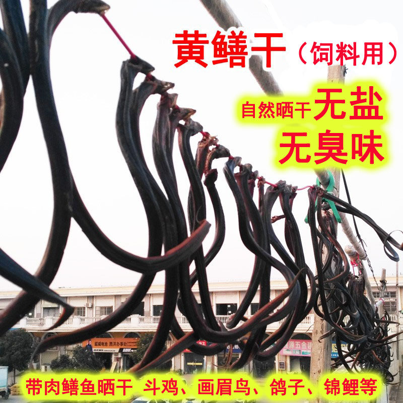 包邮烫煮晒干黄鳝干带肉黄鳝干长鱼晒干鳝鱼干可磨粉原味无盐不臭