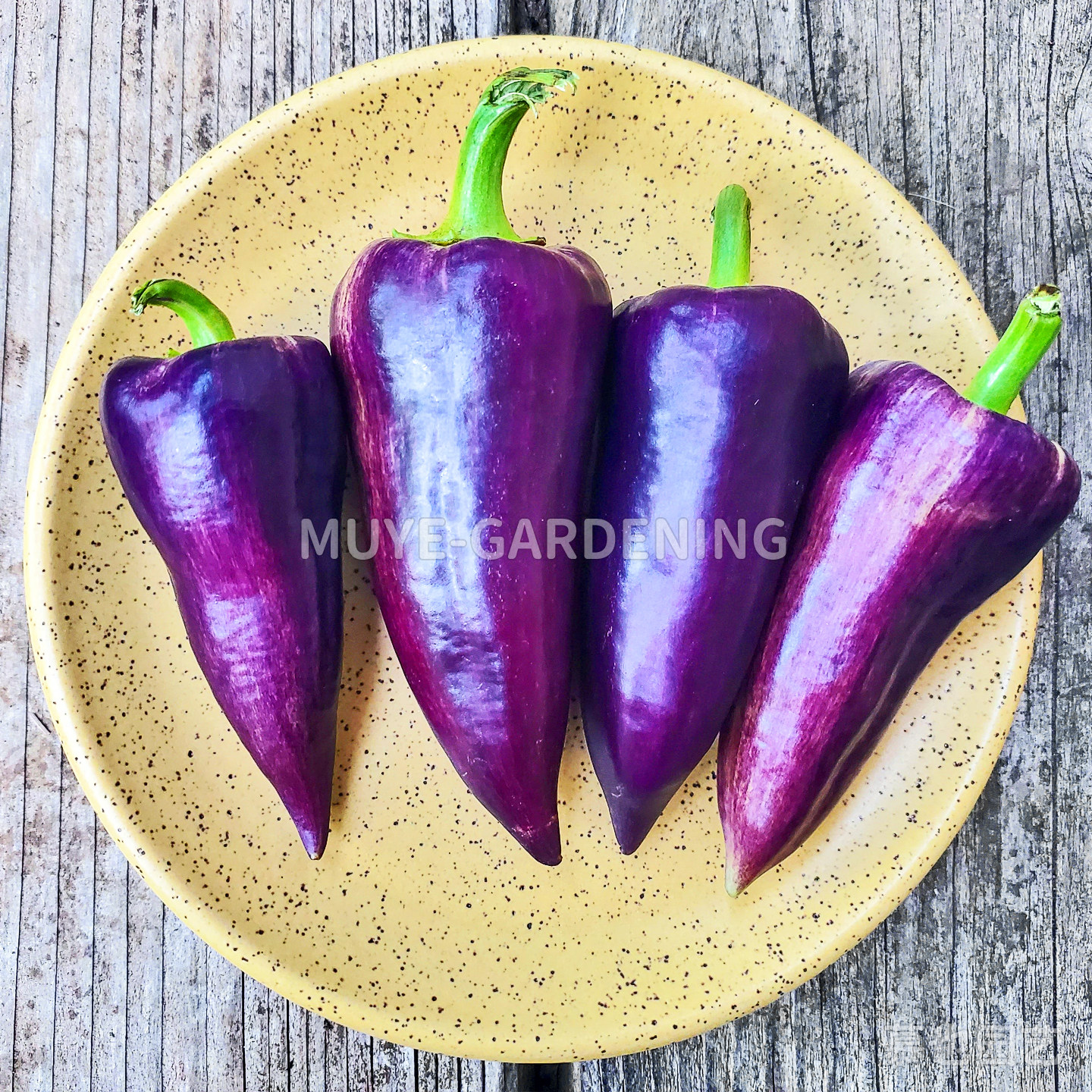 甜椒菜椒辣椒种子合集E 每份3粒 食用观赏蔬菜传家宝可留种阳台