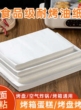 烧烤纸不粘烘焙油纸烤盘吸油纸