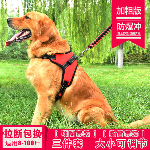 中小型幼犬胸背带狗狗牵引绳可卡柯基比格腊肠吉娃娃宠物用品