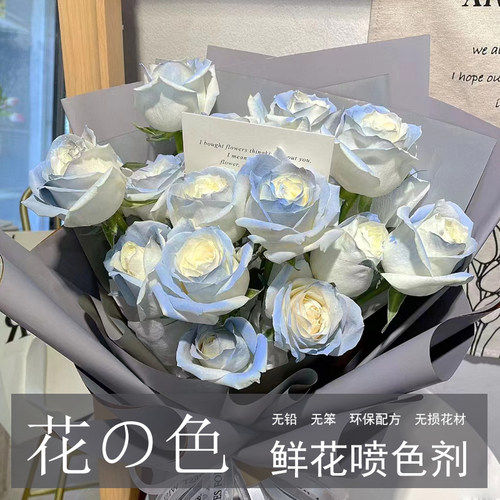花雾鲜花喷漆喷色剂不伤花材