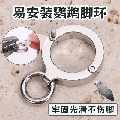 不锈钢鹦鹉脚链遛鸟脚环虎皮牡丹玄凤牵引绳子鸟链脚链拴鸟架活扣