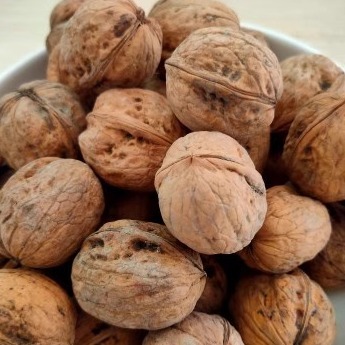 购三送一 天然新疆纸皮核桃 185品种手剥可开无洗水 果仁饱满香脆