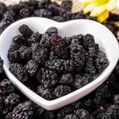 新疆美味特产500克 新疆干果 和田沙漠桑葚干散货 包邮