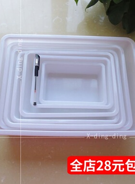 长方形尼龙白色收纳盒 无盖食品保鲜冰盘 零配件储物塑料小盒子