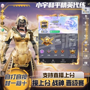 和平精英代练代打直播吃鸡陪战神上分晋级赛卓越传奇绝世打KD段位