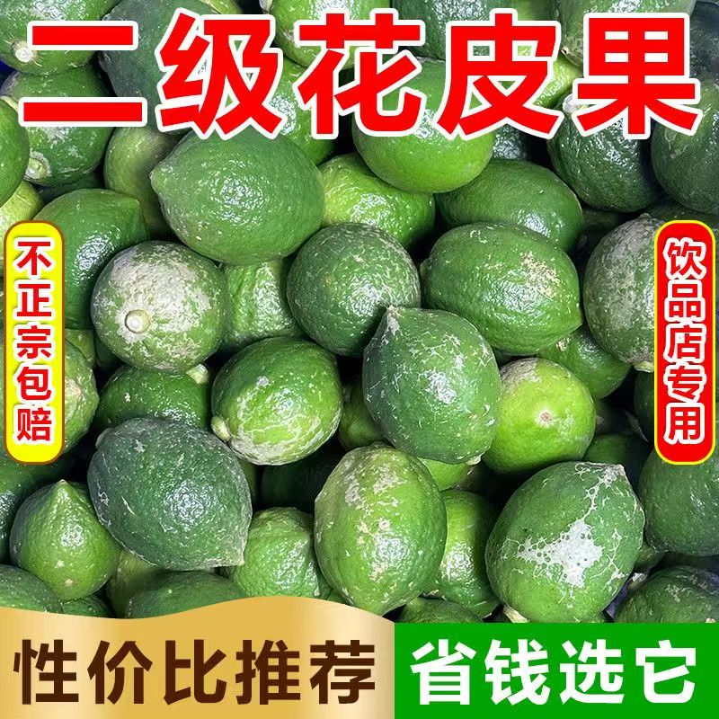 广东香水柠檬二级果奶茶店专用