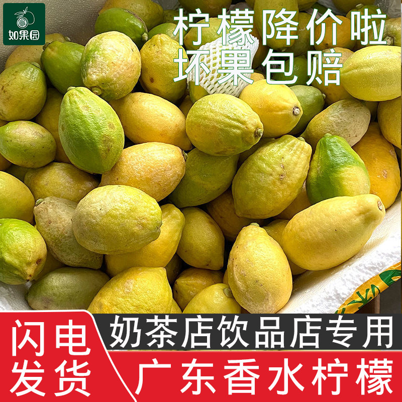 广东香水柠檬黄果花新鲜大小