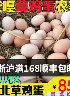 土鸡蛋苏北草鸡蛋农家乌鸡蛋土鸡蛋农家自养新鲜土鸡蛋50枚
