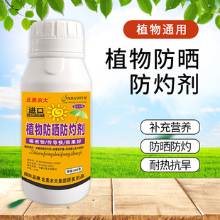 进口植物防晒防灼剂抗强光抗气灼植物高温保护剂柑橘防晒叶面肥
