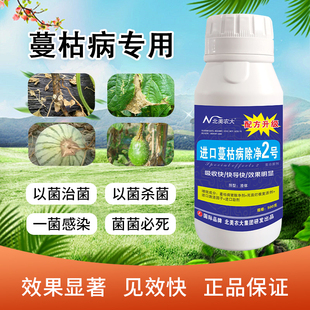 进口蔓枯病除净2号甜瓜西瓜哈密瓜蔓枯病专用药黄瓜蔓枯病杀菌剂