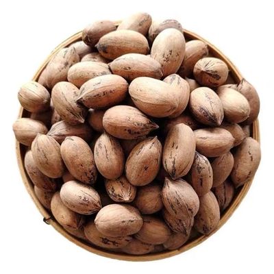 2025年新货无添加原味生碧根果云南长寿果干果美国山核桃坚果批发