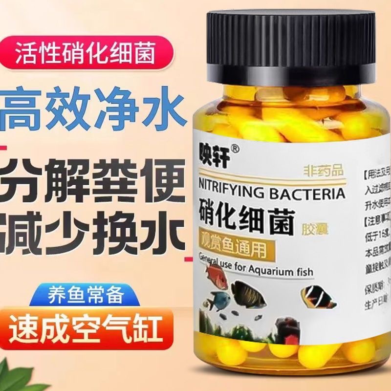 拍1发3硝化细菌胶囊鱼缸水质净化水族观赏鱼粉袋装水族用品
