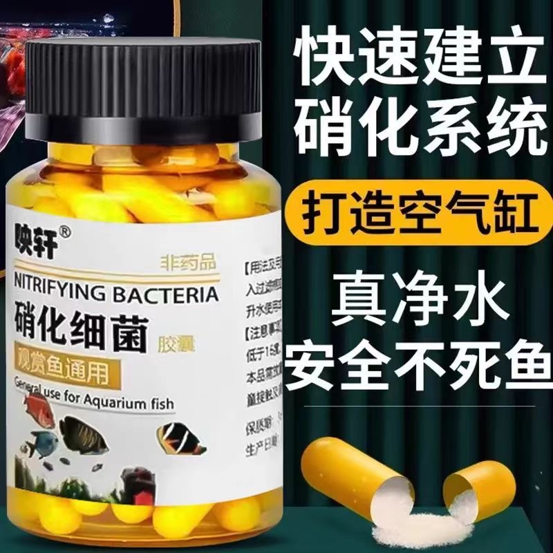 买1发5硝化细菌鱼用鱼缸胶囊净水活菌干粉水族养鱼鱼药水族鱼用