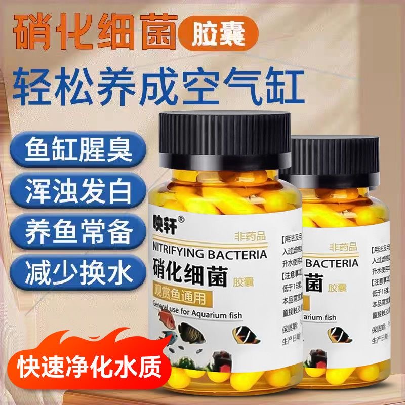 拍1发2鱼缸净水神器通用硝化细菌胶囊去腥去浑降解氨氮分解残渣