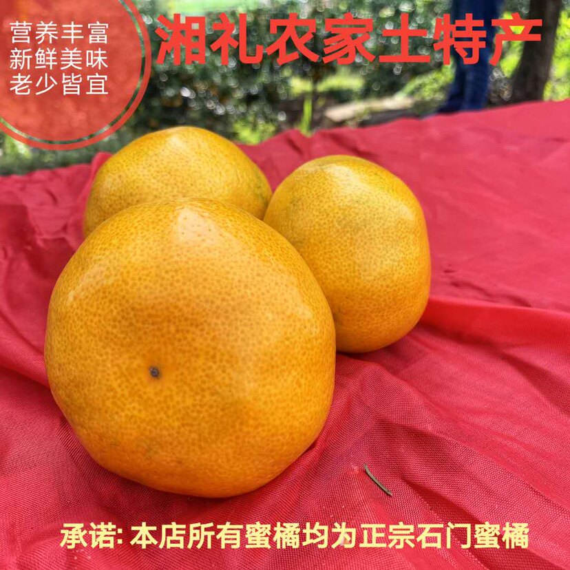 湖南石门柑橘无核特产早熟蜜橘孕妇10常德秀坪桔子新鲜 十斤 包邮
