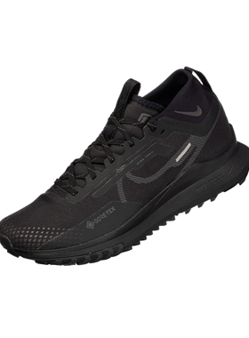 NIKE PEGASUS TRAIL 4 GTX V2 舒适百搭越野跑步鞋 HM9728-002