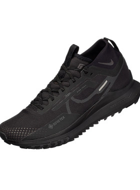 NIKE PEGASUS TRAIL 4 GTX V2 舒适百搭越野跑步鞋 HM9728-002