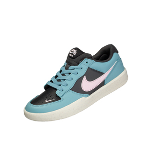 PRM 低帮休闲滑板鞋 NIKE 蓝粉色DV5476 FORCE 男女同款 400