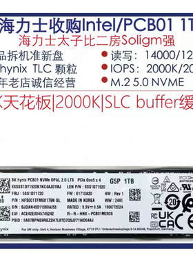 Samsung/三星 PM981a