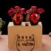 Товары от 燃春酒类包装企业店