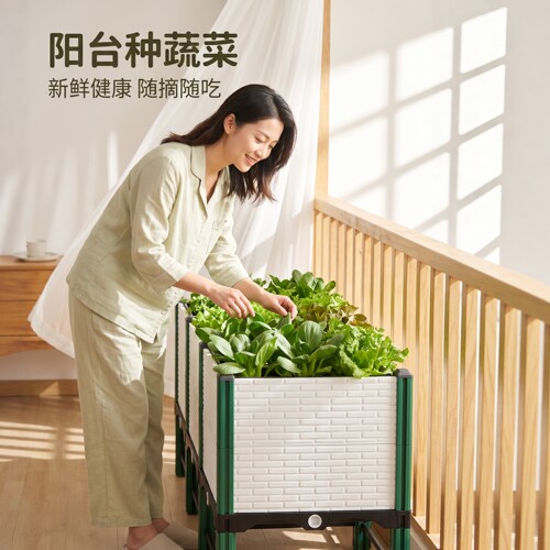 种植箱家用阳台种菜专用箱花盆带托盘一体长方形大号蔬菜种植盆