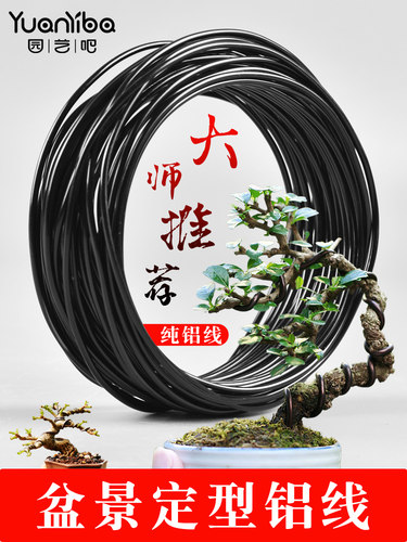 盆景造型专用丝线园艺植物