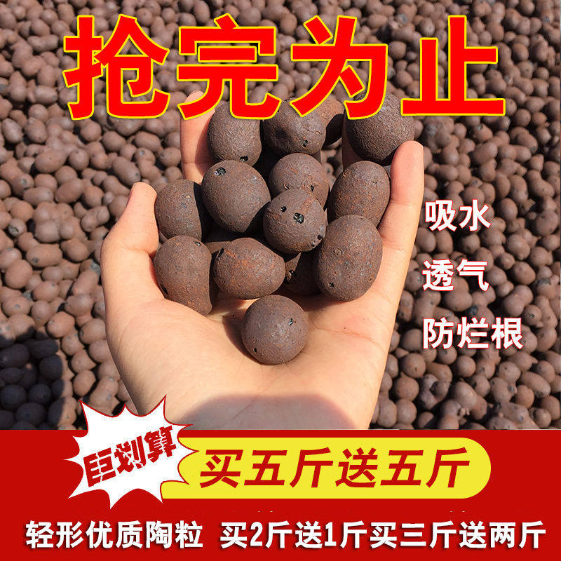 陶粒球花盆垫底园艺陶土水培营养颗粒批发养花多肉发财树垫底铺面