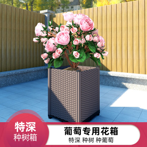 花箱竹子特深种树花盆葡萄树月季