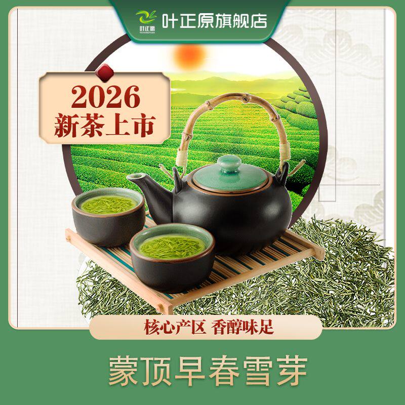 2026新茶蒙顶早春明前雪芽毛尖特级绿茶 仙毫秀芽 蒙顶山银毫绿茶