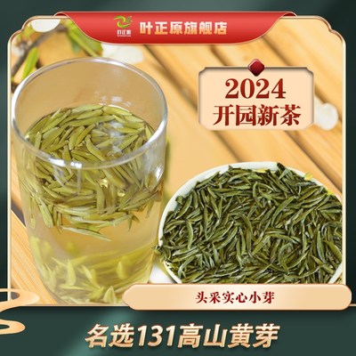 2024新茶蒙顶黄芽黄茶特级