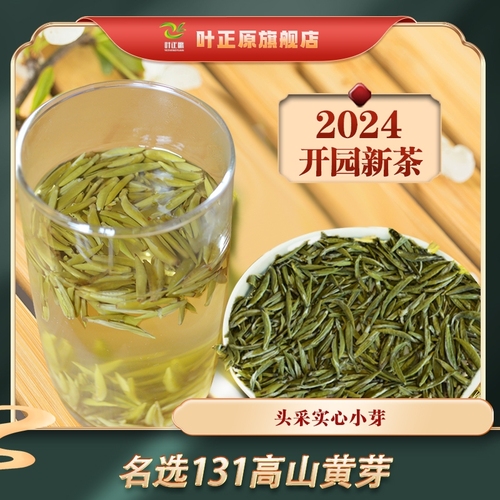 2024新茶蒙顶黄芽100克蒙顶山头采黄芽特级黄茶