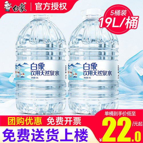 白象桶装天然泉水19L*2桶家庭大瓶桶装泡茶水非20升纯净水矿泉水