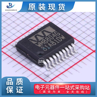 WM8804 WM8804GEDS/RV WM8804G SSOP20 数字转换器 全新原装