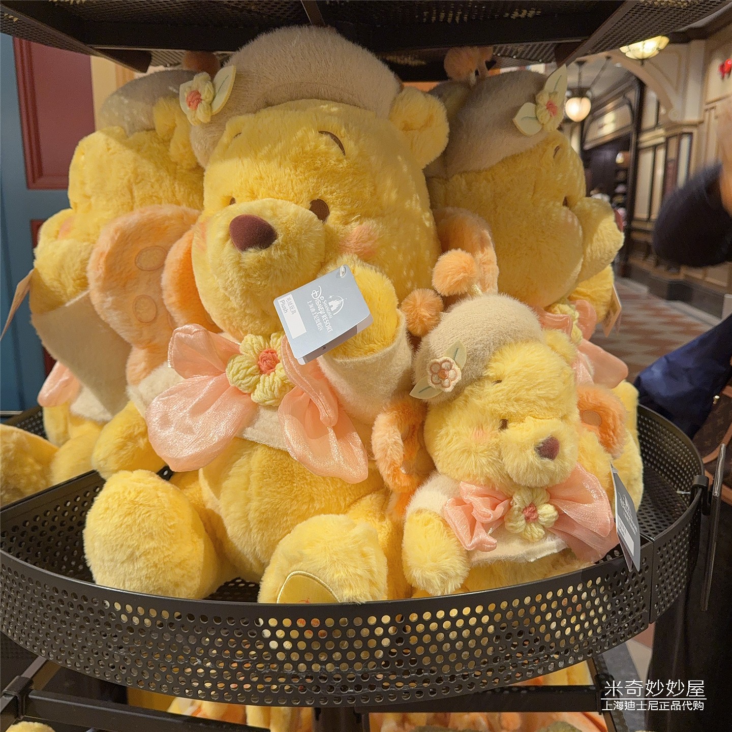 上海迪士尼乐园国内代购蝴蝶维尼毛绒玩偶小熊噗噗公仔卡通礼物