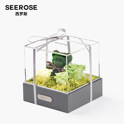 SEEROSE绿色小熊永生花生日礼物